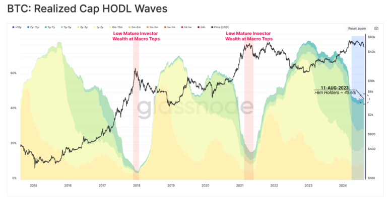 Glassnode链上观察：卖方压力趋势尚未完全消退，比特币持有者正在转向 HODLing